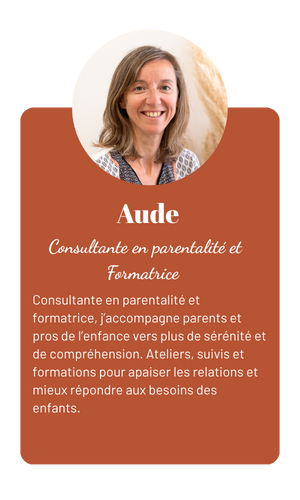 Vignette_ professionnels_mobile_aude