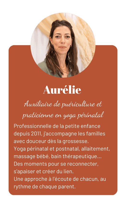 Carrousel_pros_aurélie
