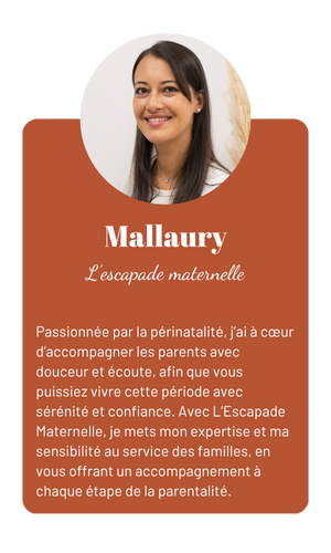 Carrousel_pros_mallaury